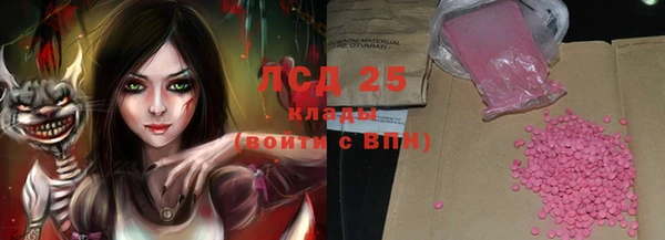 PSILOCYBIN Баксан