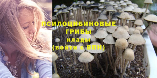ПСИЛОЦИБИНОВЫЕ ГРИБЫ Балахна