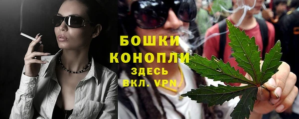 PSILOCYBIN Баксан